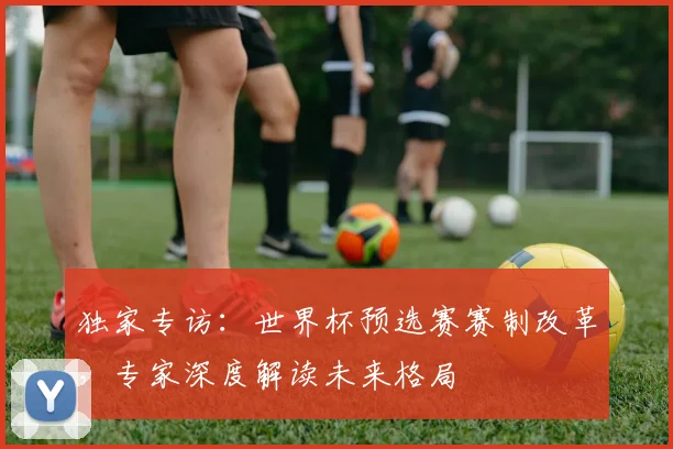 独家专访：世界杯预选赛赛制改革，专家深度解读未来格局