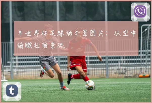 年世界杯足球场全景图片：从空中俯瞰壮丽景观