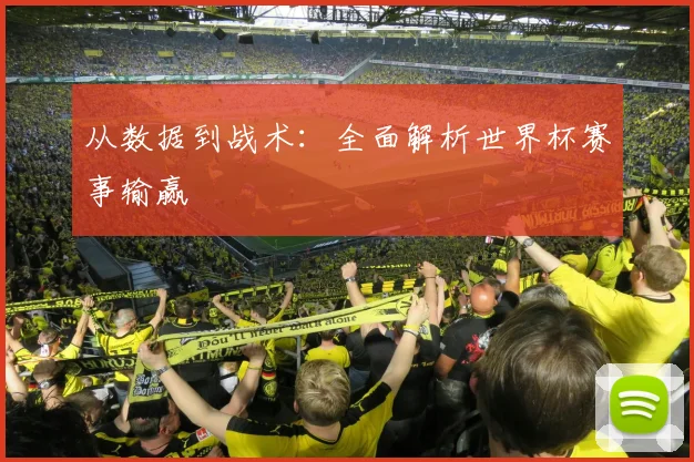 从数据到战术：全面解析世界杯赛事输赢