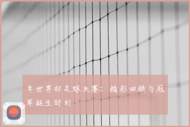 年世界杯足球决赛：精彩回顾与冠军诞生时刻