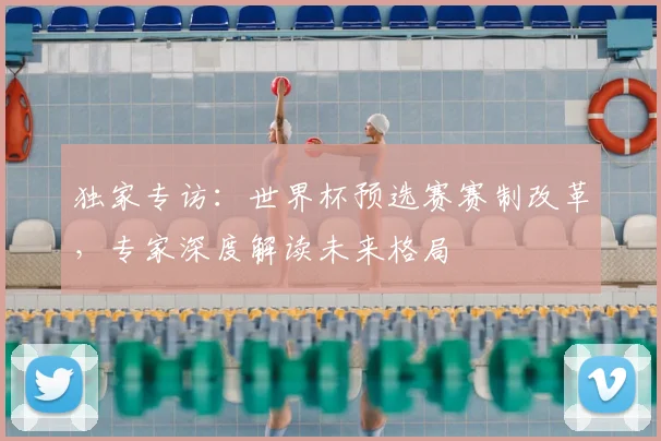 独家专访：世界杯预选赛赛制改革，专家深度解读未来格局