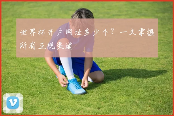 世界杯开户网址多少个？一文掌握所有正规渠道