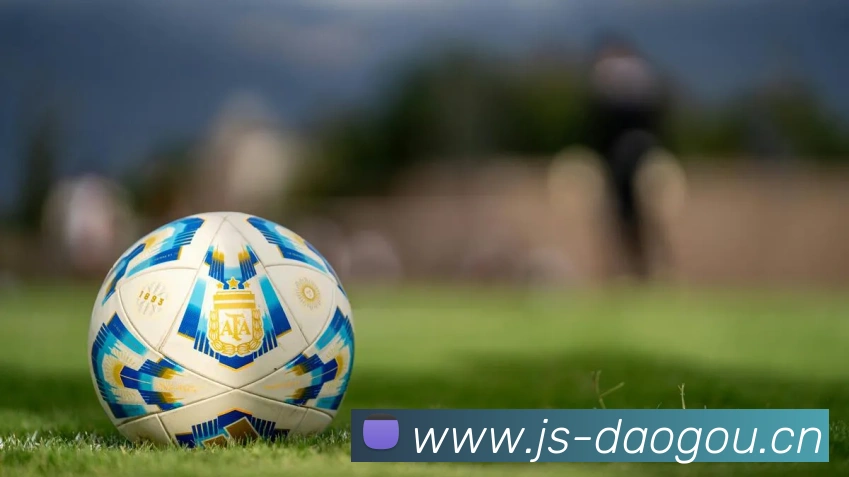 星空体育app官网入口网址平台生态图